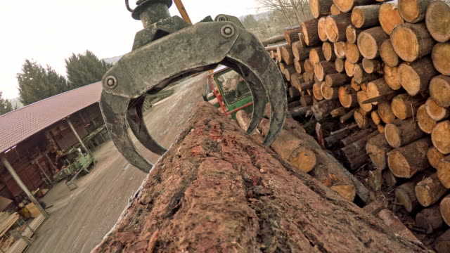 POV Grapple moving a log at a sawmill