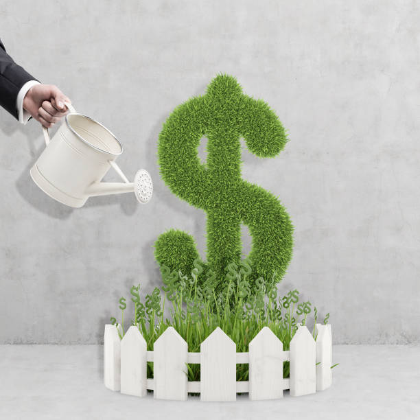 istock Man hand watering dollar plant 649807268