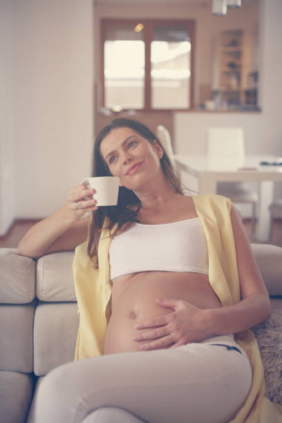 istock Pregnant woman at home. 649816718