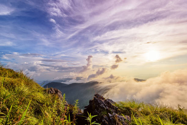 istock Phu Chi Fa Forest Park at sunset, Thailand 649824254