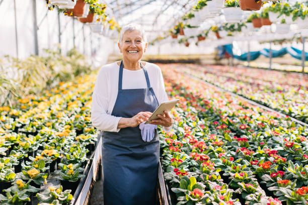 istock Cheerful senior gardener with digital tablet 649824614