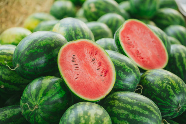 summer fruit. green watermelon stock photo