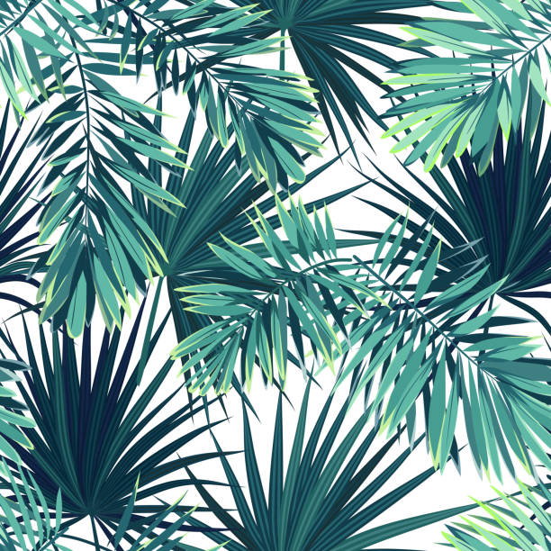 Dark Tropical Background With Jungle Plants. Seamless Tropical Pattern With  Green Phoenix Palm Leaves. Vector Illustration. Royalty Free SVG, Cliparts,  Vectors, and Stock Illustration. Image 73213755.