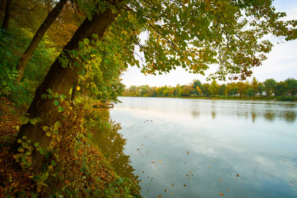 istock Colorful autumn lake 649825466