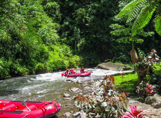 발리, 인도네시아-2012 년 4 월 11 일: balis 산 강 계곡에서 래프팅 - rafting strength excitement men 뉴스 사진 이미지