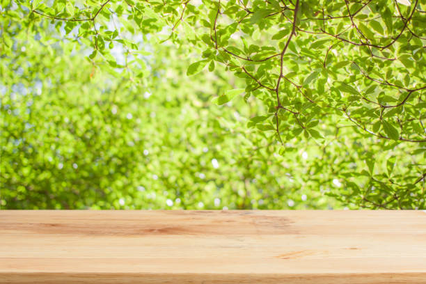istock Wood table top on bokeh Green background 649832578