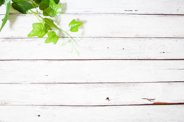 istock flowers on wooden background 649833636