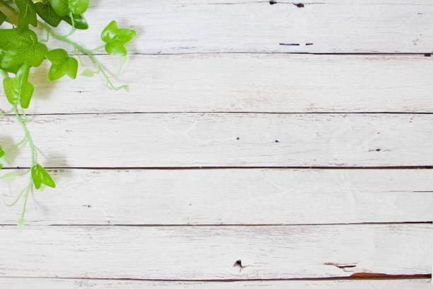 istock flowers on wooden background 649836630