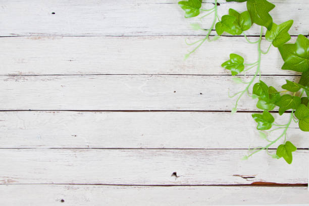 istock flowers on wooden background 649837050