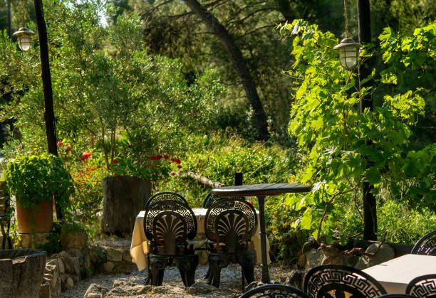 istock outdoor restaurant at the summer day 649837542