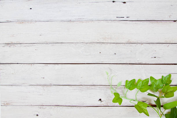 istock flowers on wooden background 649837658