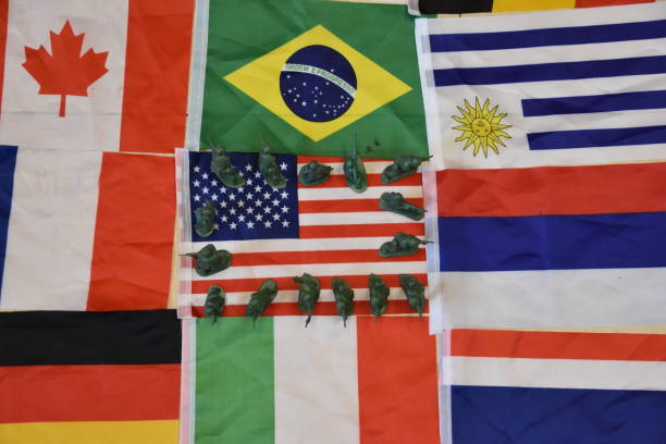 istock Flag and soldiers 649839804