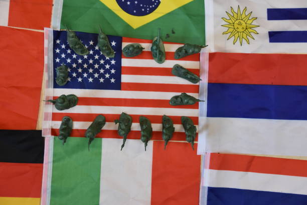 istock Flag and soldiers 649839934