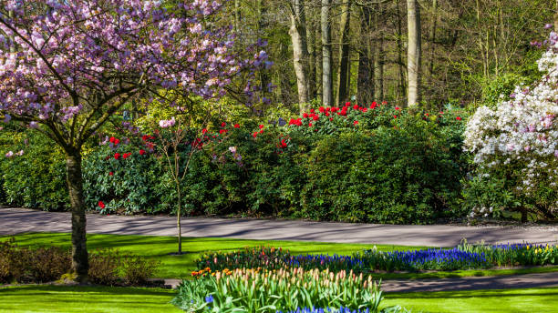 istock Landscaped Formal Garden. Park.  Beautiful Garden. 649840080