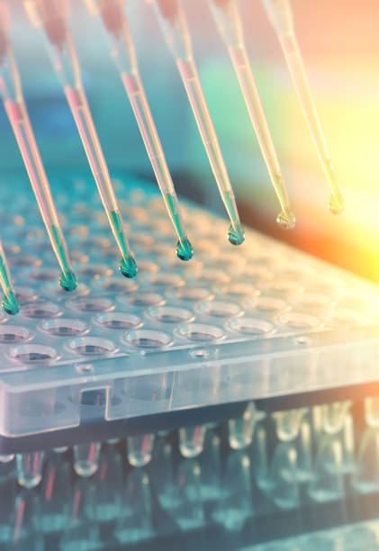 background scientifico. punte di pipetta multicanale per l'analisi del dna - multi channel pipette foto e immagini stock