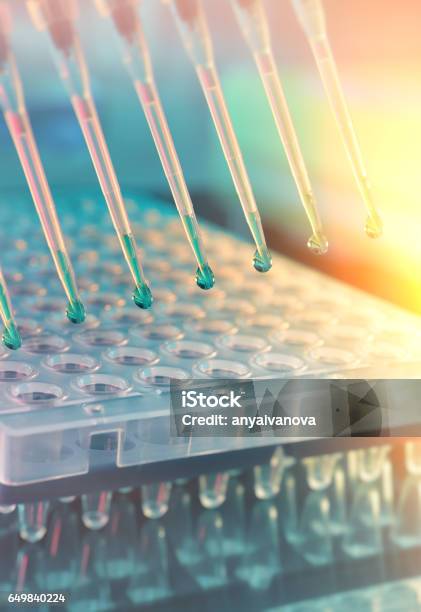 Scientific Background Multichannel Pipette Tips For Dna Analysis Stock Photo - Download Image Now