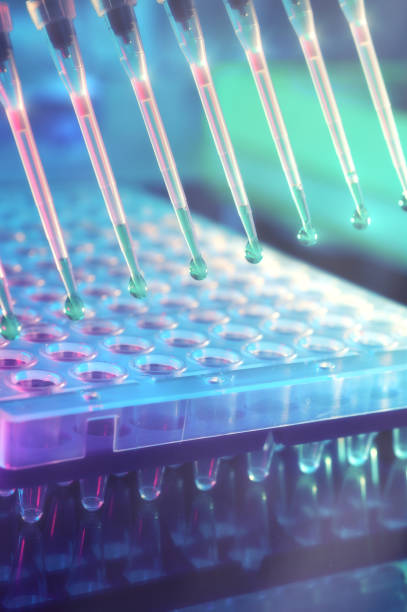 istock Scientific background. Multichannel pipette tips for DNA analysis. 649840344