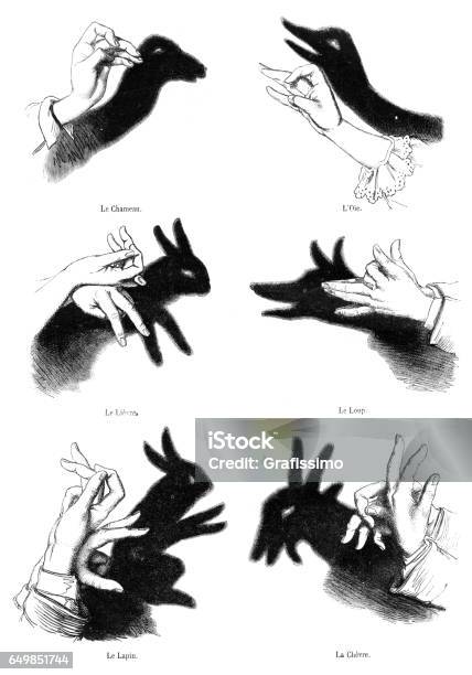 Human Hands Playing Shadow Play Illustration 1861 Stock Illustration - Download Image Now - Shadow Puppet, Shadow, Focus on Shadow