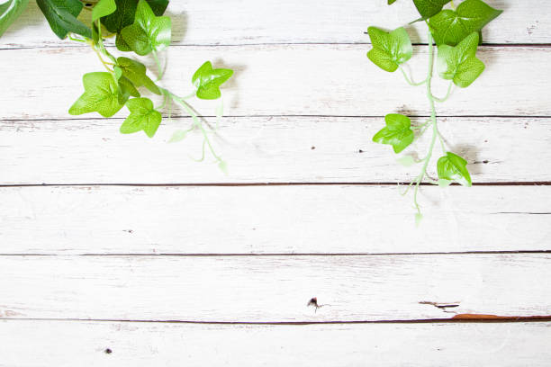 istock flowers on wooden background 649855140