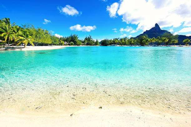 istock Bora Bora Tahiti 649859160