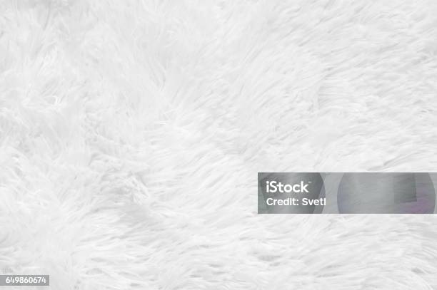 Shaggy Fur Texture Stock Photo - Download Image Now - Abstract, Artificial, Backgrounds