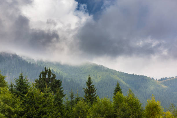 istock Summer mountain scenery in the Alps, with storm clouds 649862738