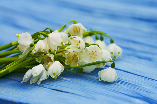 istock Spring breakfast hot tea and a bouquet of snowdrops 649863558
