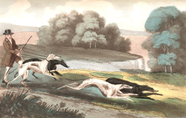 An early 19th century man out hare-coursing with his hounds in the English countryside. From “The Follies & Fashions of our Grandfathers: 1807” by Andrew W Tuer. Published in London by Field & Tuer, The Leadenhall Press & Co., 1886/7.