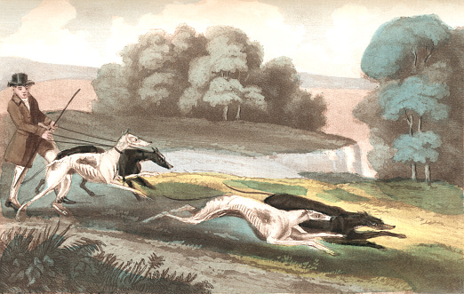 An early 19th century man out hare coursing with his hounds in the English countryside. From “The Follies & Fashions of our Grandfathers: 1807” by Andrew W Tuer. Published in London by Field & Tuer, The Leadenhall Press & Co., 1886/7.