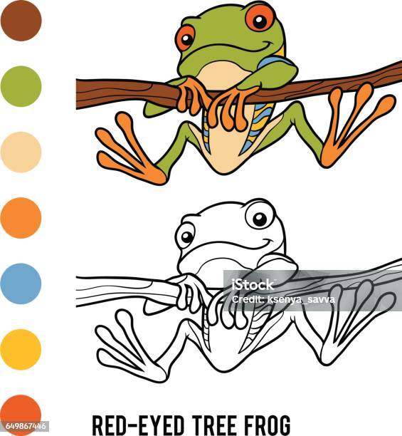 Coloring Book Redeyed Tree Frog Stock Illustration - Download Image Now - Coloring Book Page - Illlustration Technique, Rainforest, Leisure Games