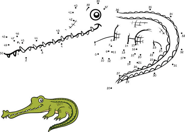 Numbers game, Gavial Numbers game, education dot to dot game for children, Gavial gavial stock illustrations
