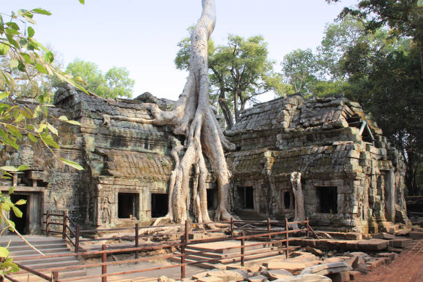 templo ta phrom, parque de angkor, camboya - ankor fotografías e imágenes de stock