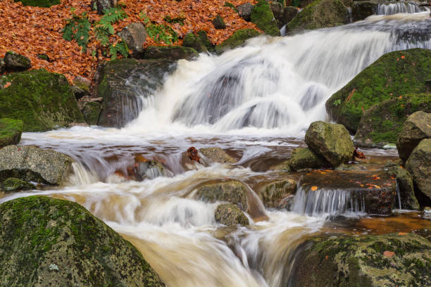 istock Cascade on the river in Bohemia 649877246