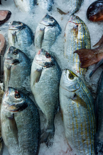 istock Fresh seafood. Fresh fish in the market 649878268