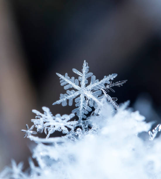 istock natural snowflakes on snow 649878466