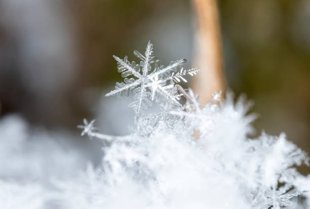 istock natural snowflakes on snow 649878470