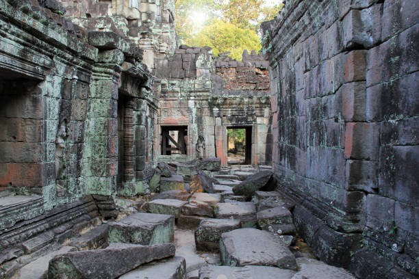 tempio ta phrom, parco angkor, cambogia - bayon phrom foto e immagini stock