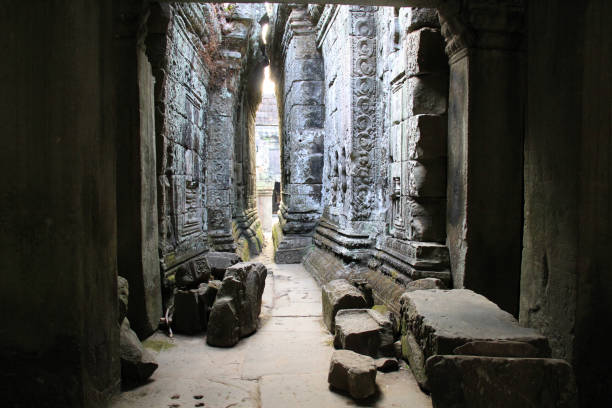 tempio ta phrom, parco angkor, cambogia - bayon phrom foto e immagini stock