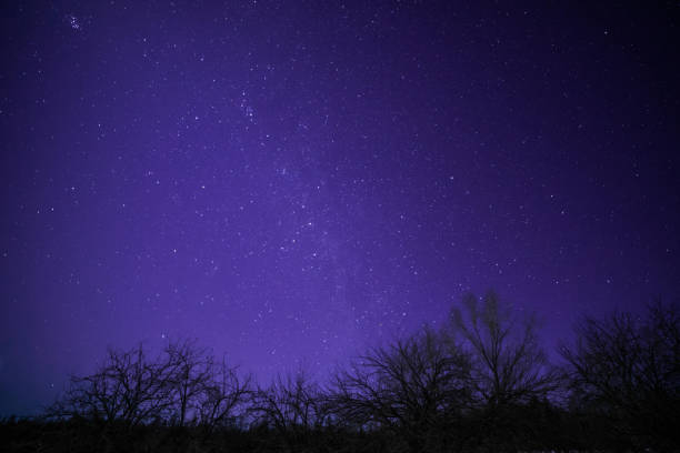 istock Rural Winter Landscape at night with trees and stars 649881278