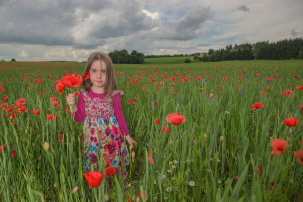 kleine gilrl mit hut in einem blumenfeld - child little girls single flower flower stock-fotos und bilder