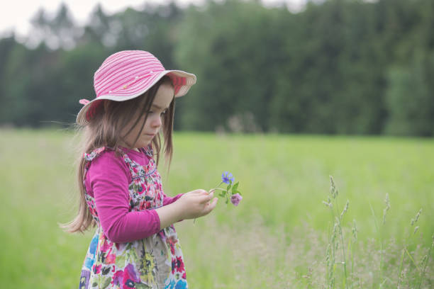 kleine gilrl mit hut in einem blumenfeld - child little girls single flower flower stock-fotos und bilder