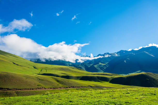 istock Green pastures, Kyrgyzstan. 649886106