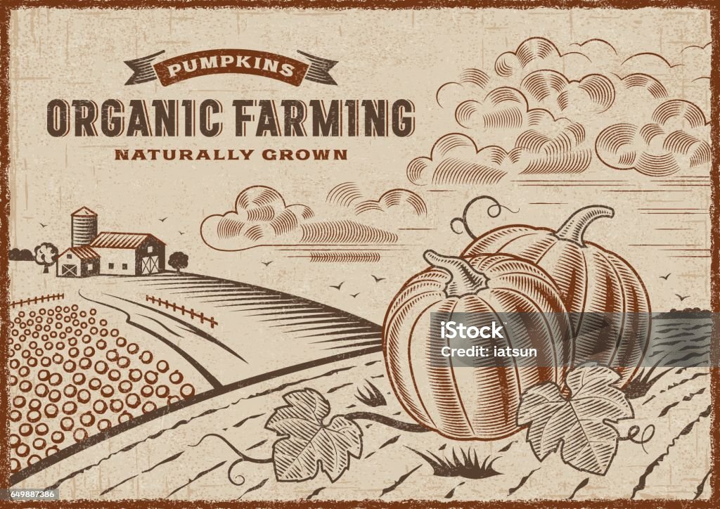 Pumpkin Organic Farming Landscape Vintage organic farming label on pumpkin harvest landscape. Editable EPS10 vector illustration in woodcut style with clipping mask. Farm stock vector