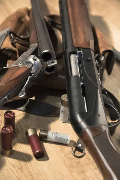 Close-up. Old two barrel Shotgun 16 gauge and semi-automated shotgun 12 gauge,  bandolier. Big hunting knife with gravure, White cartridges
