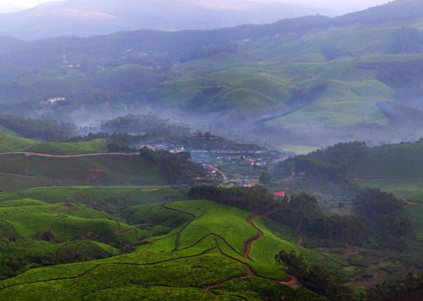 istock Tea plantations in Kerala, South India 649893552
