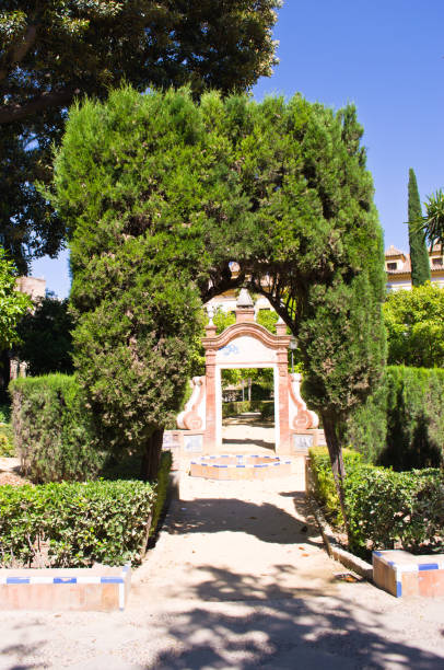 istock Seville, public gardens Murillo. 649896852