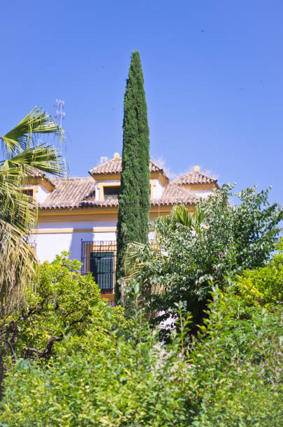 istock Seville, public gardens Murillo. 649896868
