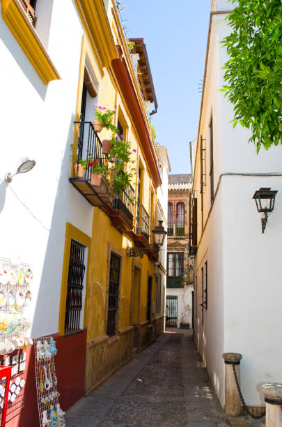 istock Architecture of Seville, Spain. 649896946