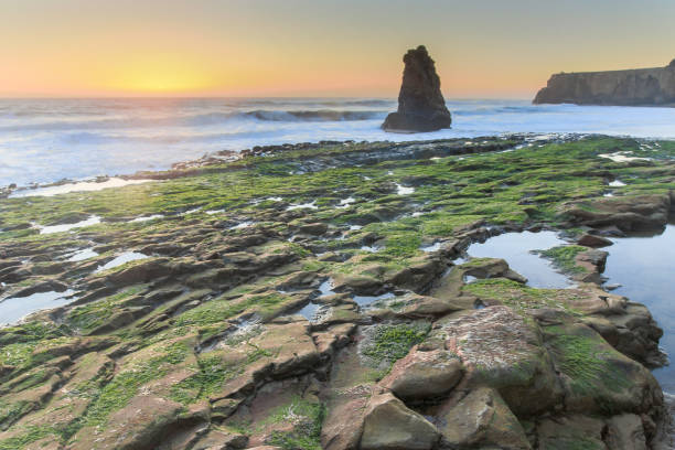 istock Davenport Rugged Coastline Sunset 649897212