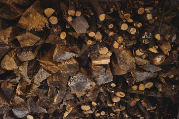 istock Close-up of firewood 649901868